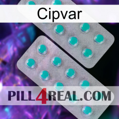 Cipvar 29